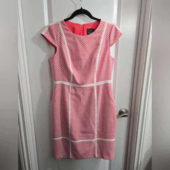 Adrianna Papell Guava Dot w/Contrast Ivory Piping U-Neck Texture Knit Dress - Picture 2 of 10